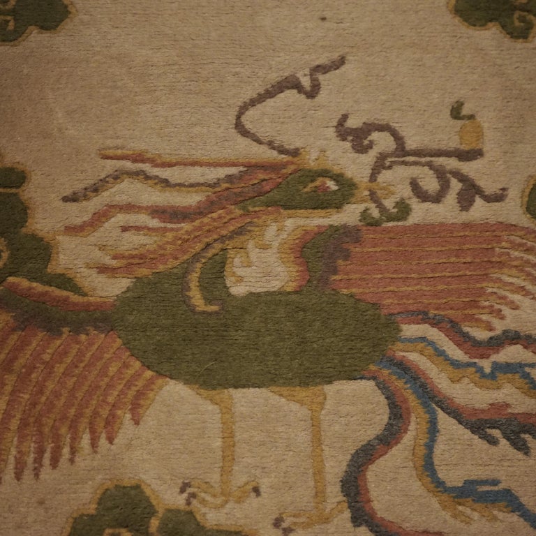 Tibetan Inspired Chinese Nichols Oriental Rug with Stylized Birds & Clouds 20thC
