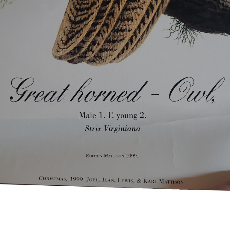 R. Havell Double Elephant Folio Audubon Print of Great Horned Owls C1999