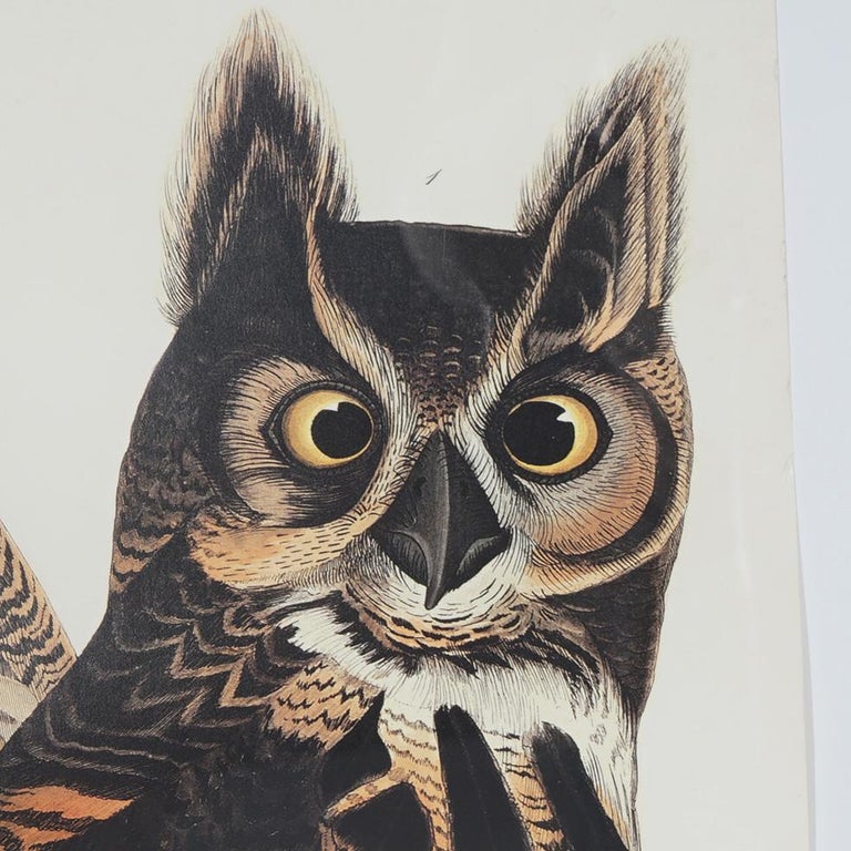 R. Havell Double Elephant Folio Audubon Print of Great Horned Owls C1999