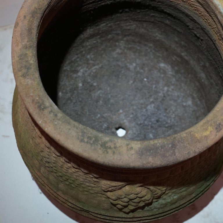 Antique Neoclassical Terra Cotta Garden Urn Patio Planter C1910