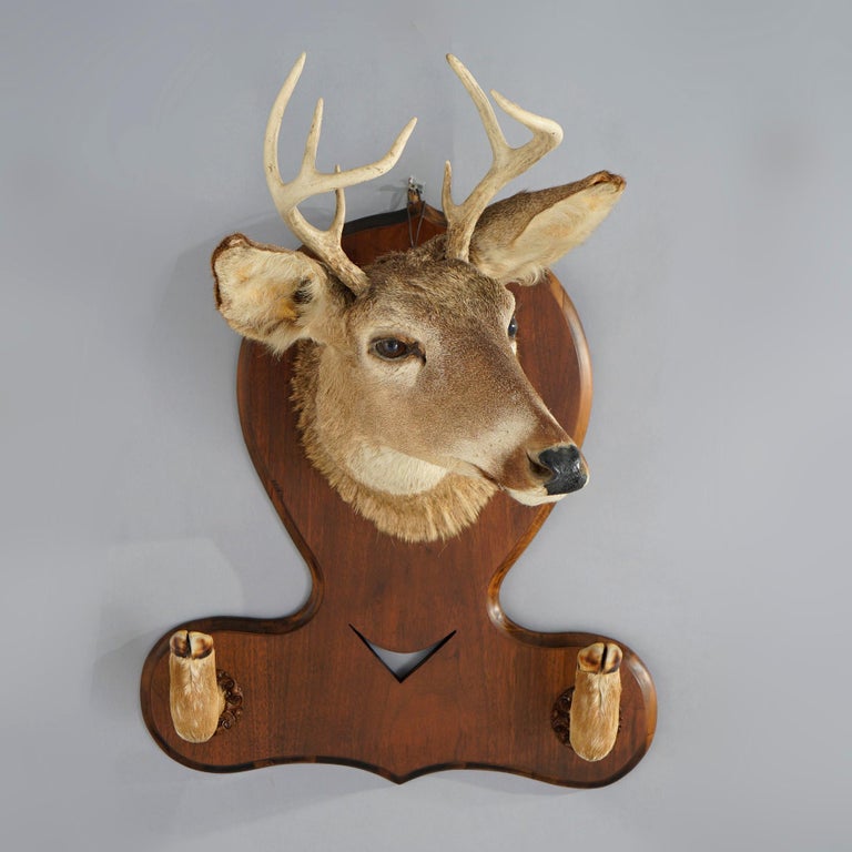 Antique Deer Mount Hall Hat Rack Circa 1930