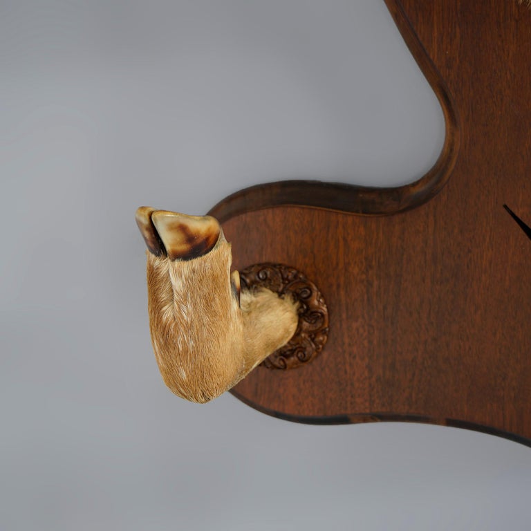 Antique Deer Mount Hall Hat Rack Circa 1930