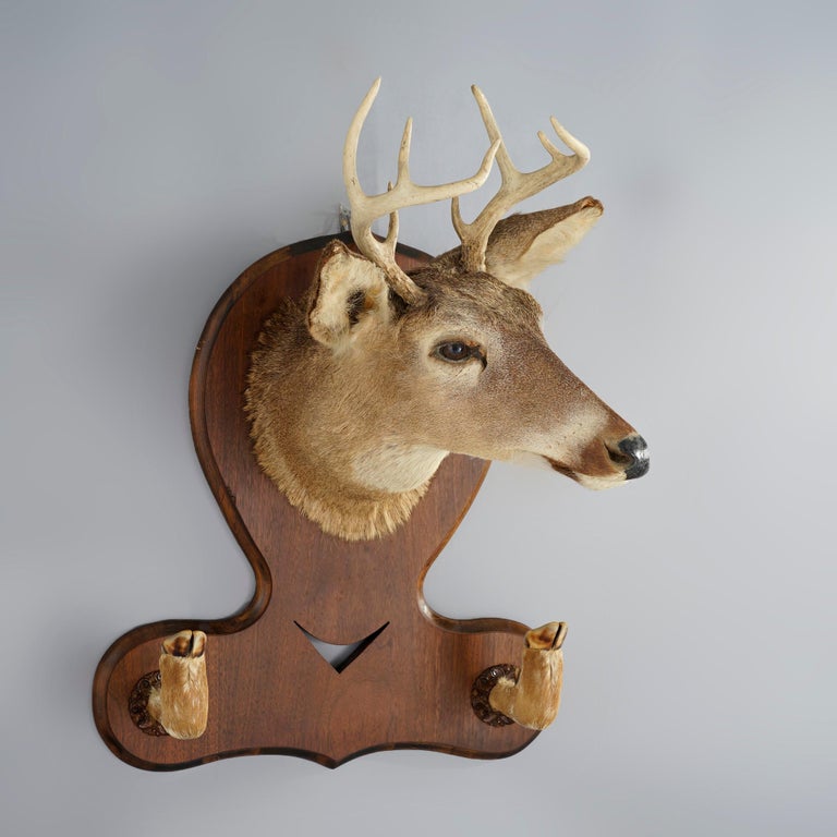 Antique Deer Mount Hall Hat Rack Circa 1930
