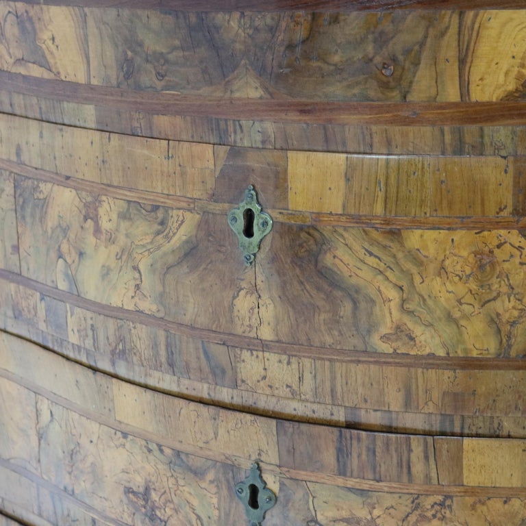 18thC Italian Florence Olive Wood, Rosewood & Burl Swell & Drop Front Desk c1770