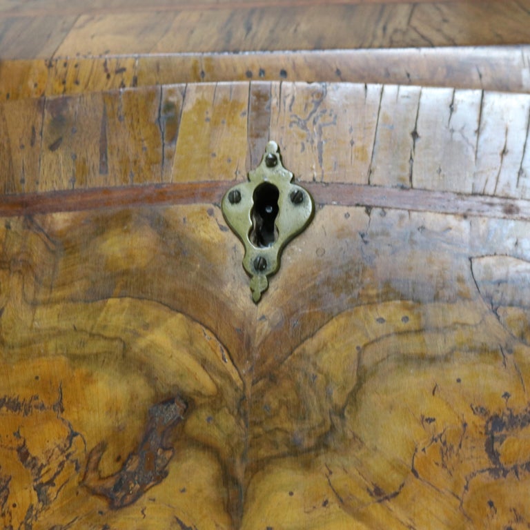 18thC Italian Florence Olive Wood, Rosewood & Burl Swell & Drop Front Desk c1770
