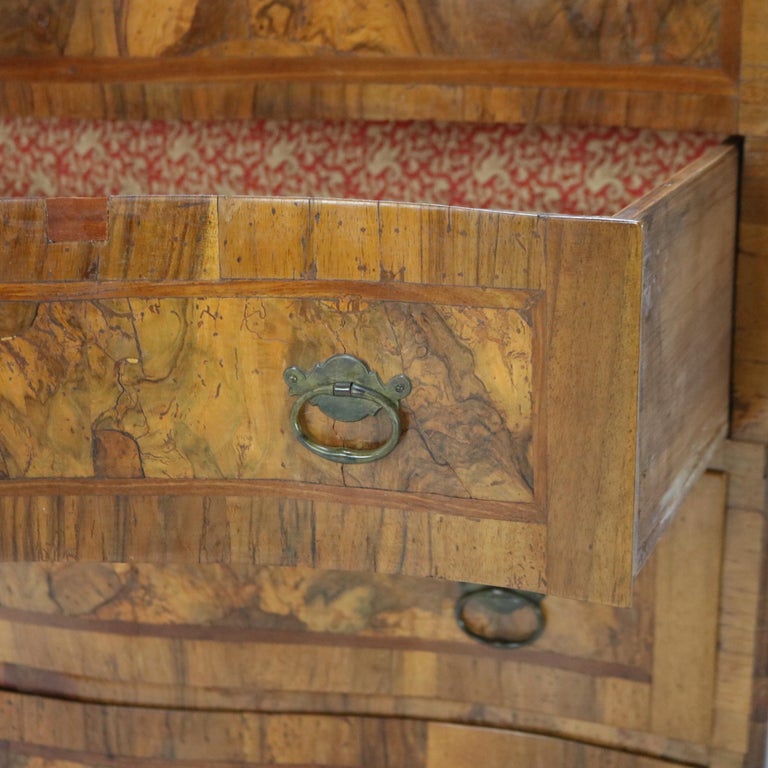 18thC Italian Florence Olive Wood, Rosewood & Burl Swell & Drop Front Desk c1770