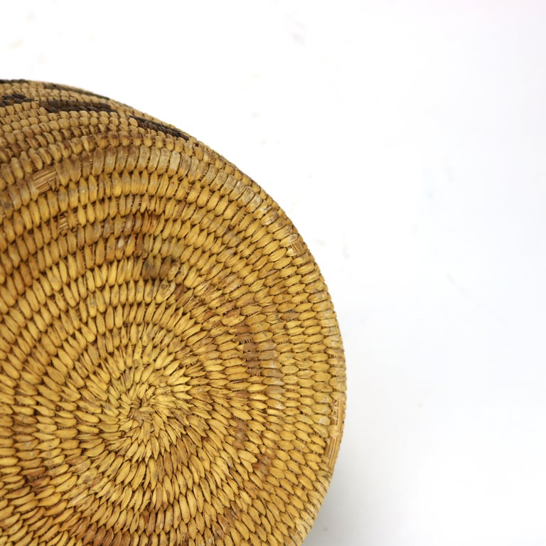 Vintage Southwest Native American Woven Reed Basket 20thC