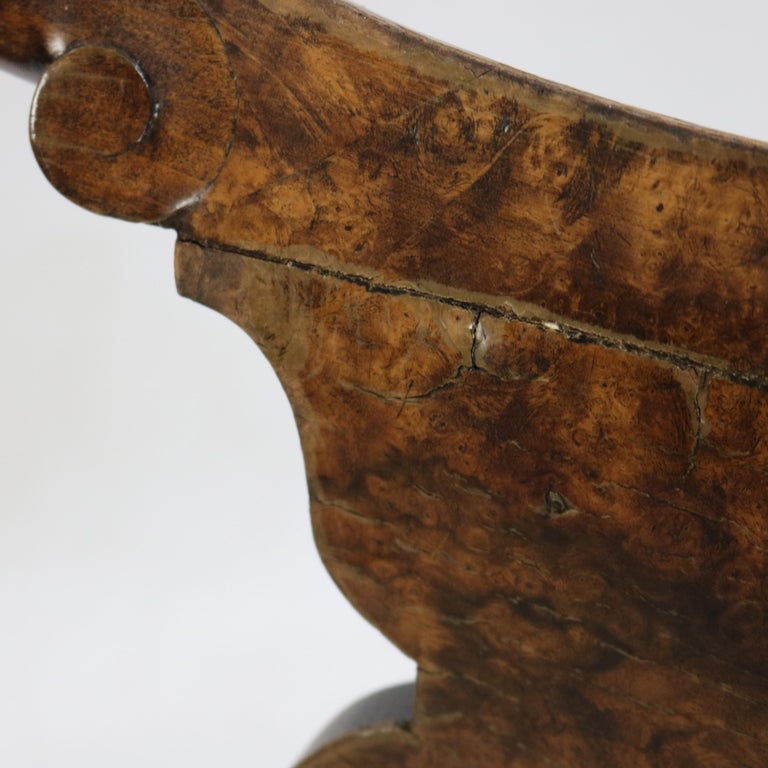 Six Antique English George III Style Oyster Burl Dining Room Chairs C1920