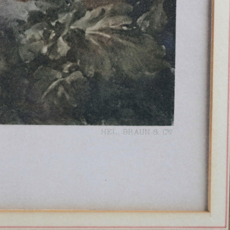 Large French Print "La Musette" after Boucher François, Framed, 20th C