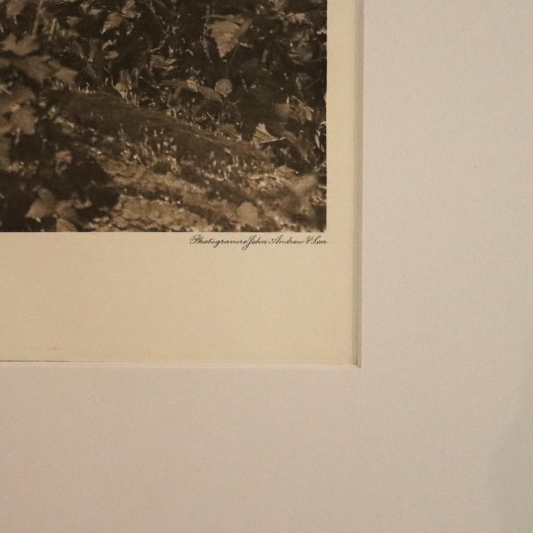 Edward S. Curtis Native American Print “A Primitive Quinalt", John Andrew & Sons