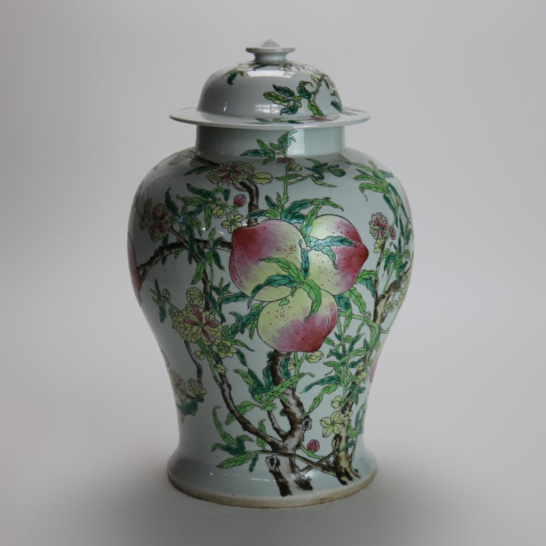 Chinese Republic Period Porcelain Covered Longevity Ginger Jar with Fruit 20thC